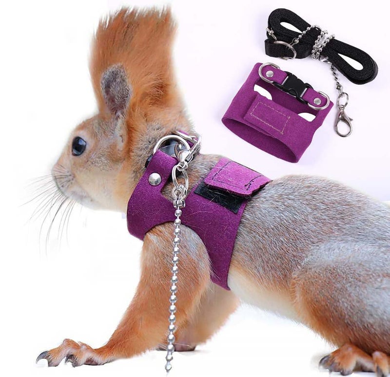 ADNIKIA Squirrel Traction Rope Strap Anti-Biting Chain Rope, Adjustable Vest, Small Animal Walking Harness with Lead Leash, Hamster Gerbil Rat Mouse Ferret Chinchilla Small Animal Walking Leash - Image 1